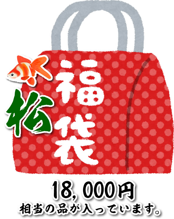 ☆2026福袋（松）☆　国産金魚　18,000相当の金魚がはいっております。サイズ約4～7cm   (生体1208-2)