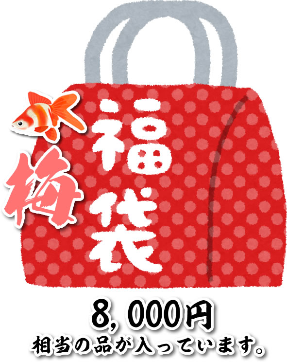 ☆2026福袋（梅）☆　国産金魚　8,000円相当の金魚がはいっております。サイズ約4～7cm   (生体1208-2-1)